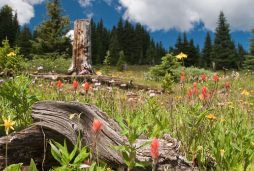 Discover Elbert County, Colorado: 4 Local Shops that Capture its Spirit