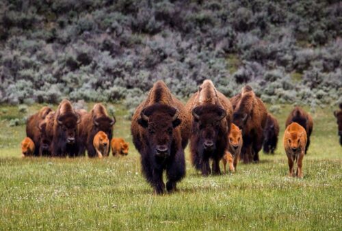 Elbert County, Colorado Hidden Gems: Top 5 Must-Visit Spots